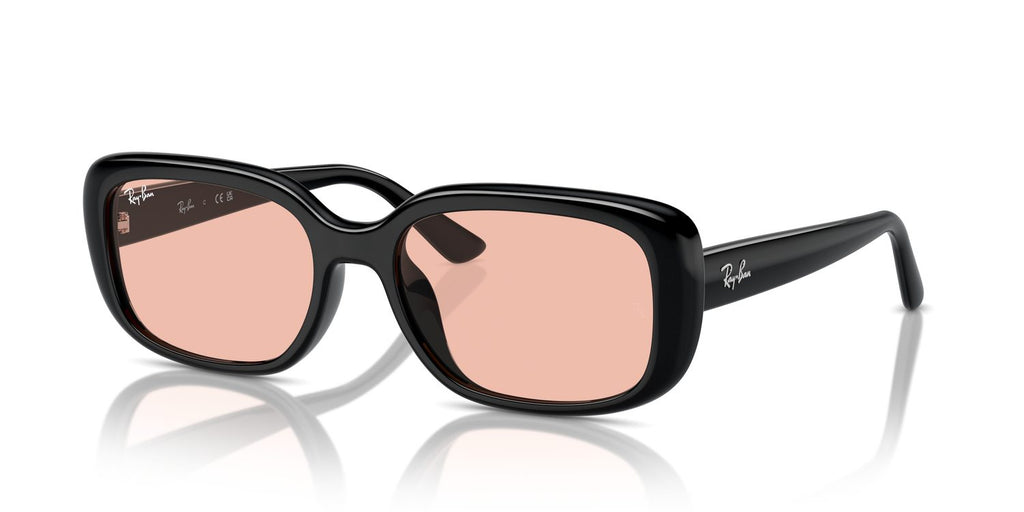 Ray-Ban | 0RB4421D