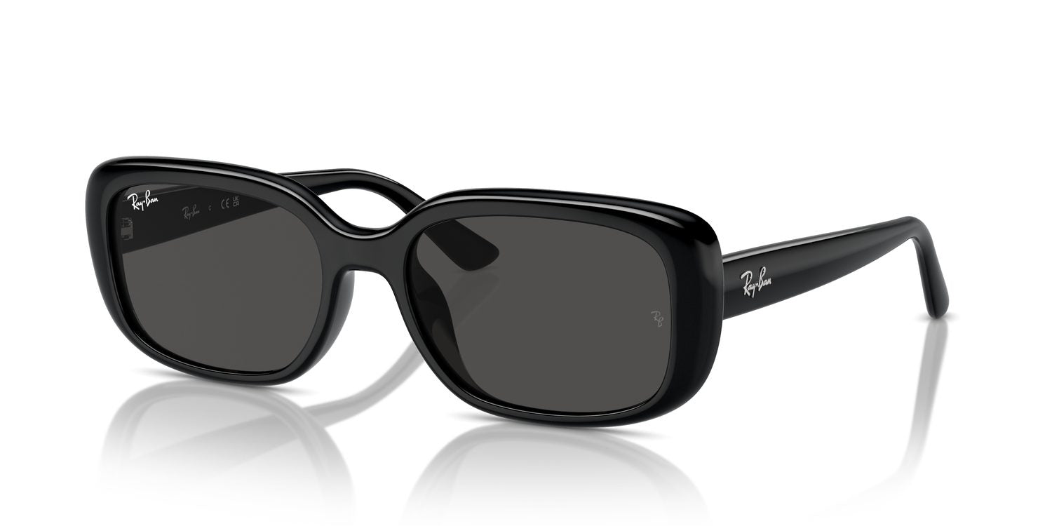 Ray-Ban | 0RB4421D