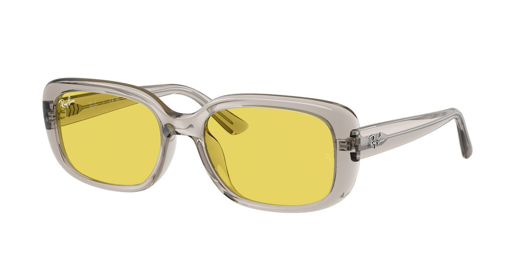 Ray-Ban | 0RB4421D