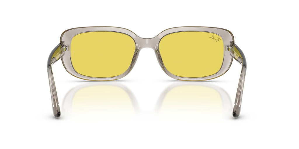 Ray-Ban | 0RB4421D