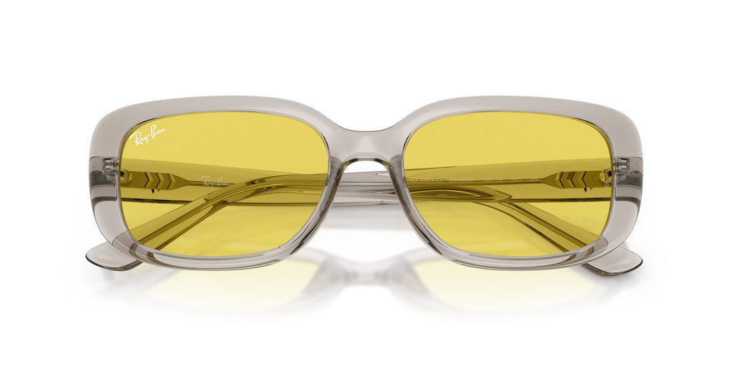 Ray-Ban | 0RB4421D