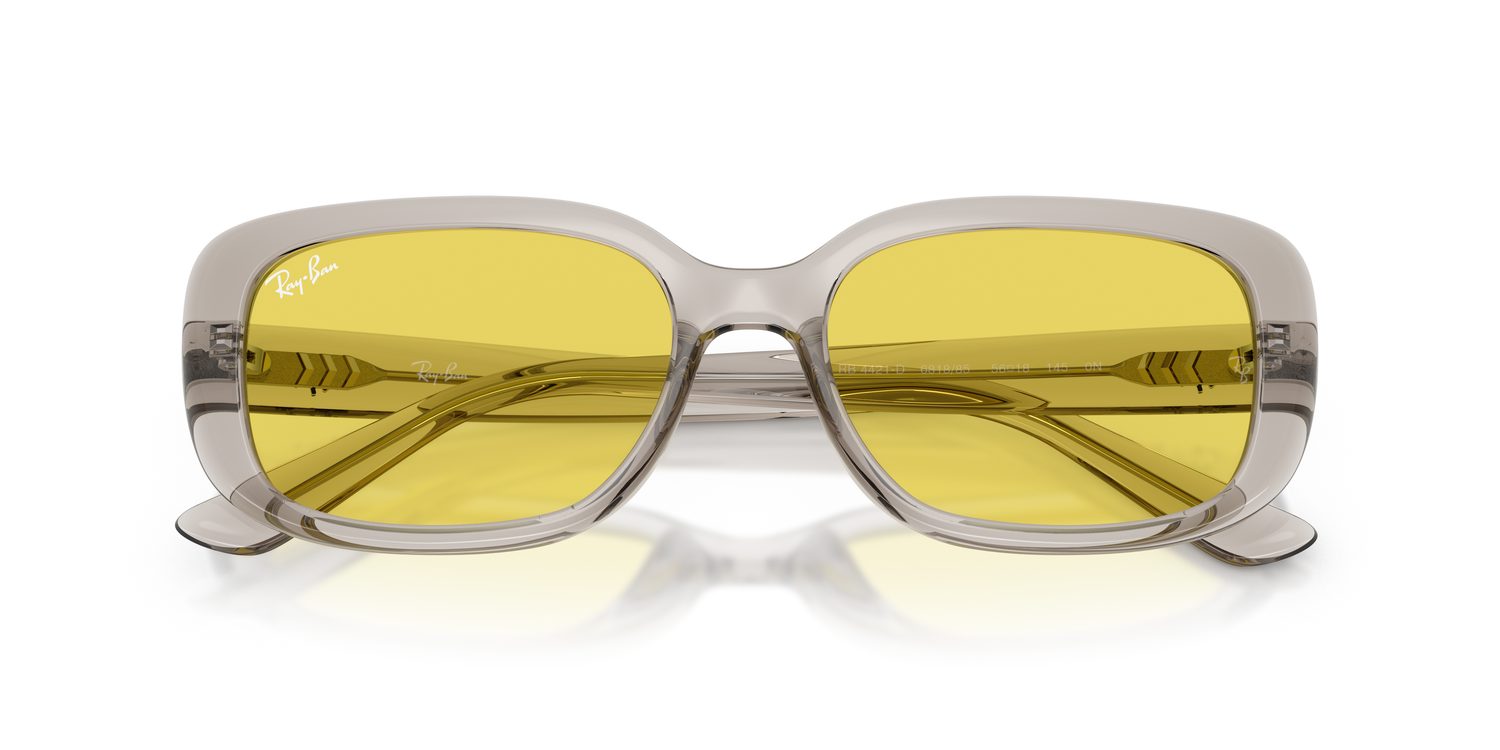 Ray-Ban | 0RB4421D