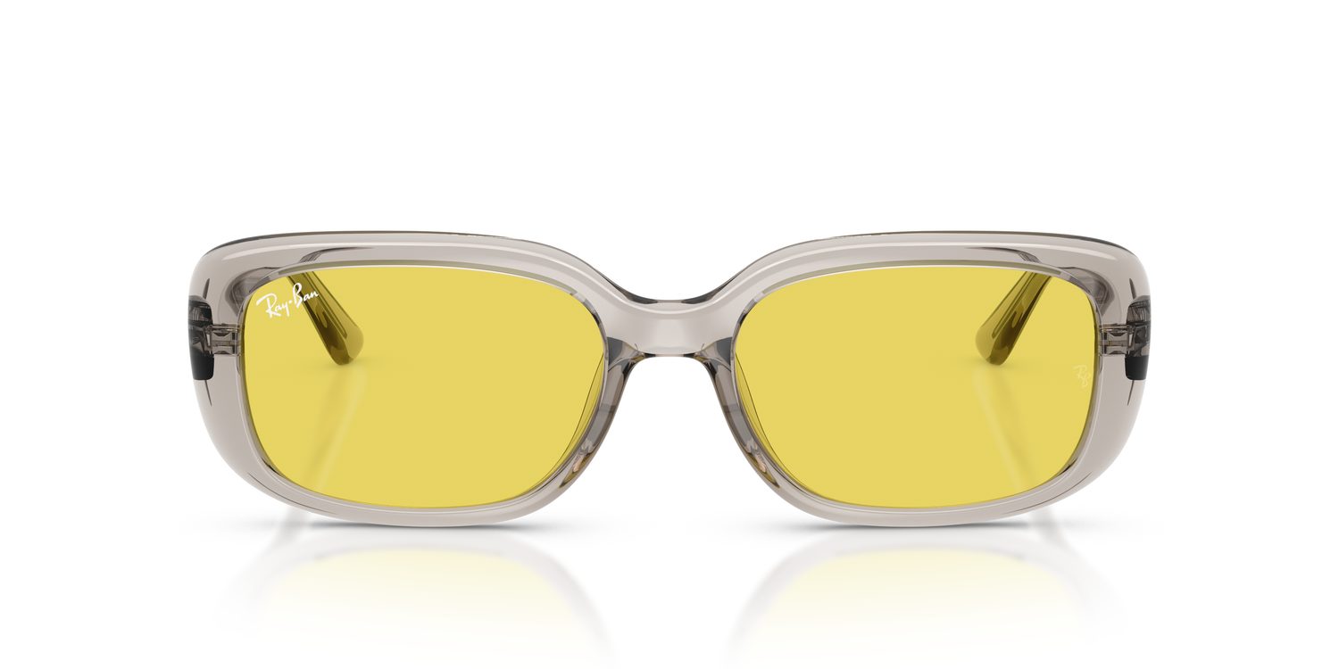 Ray-Ban | 0RB4421D