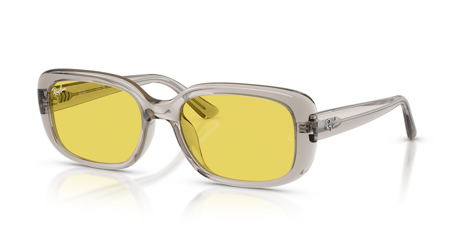 Ray-Ban | 0RB4421D