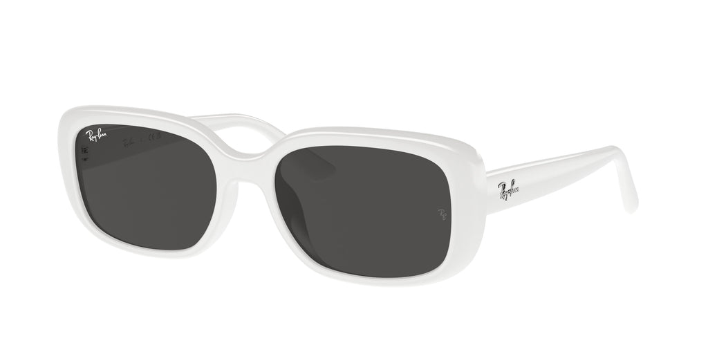 Ray-Ban | 0RB4421D