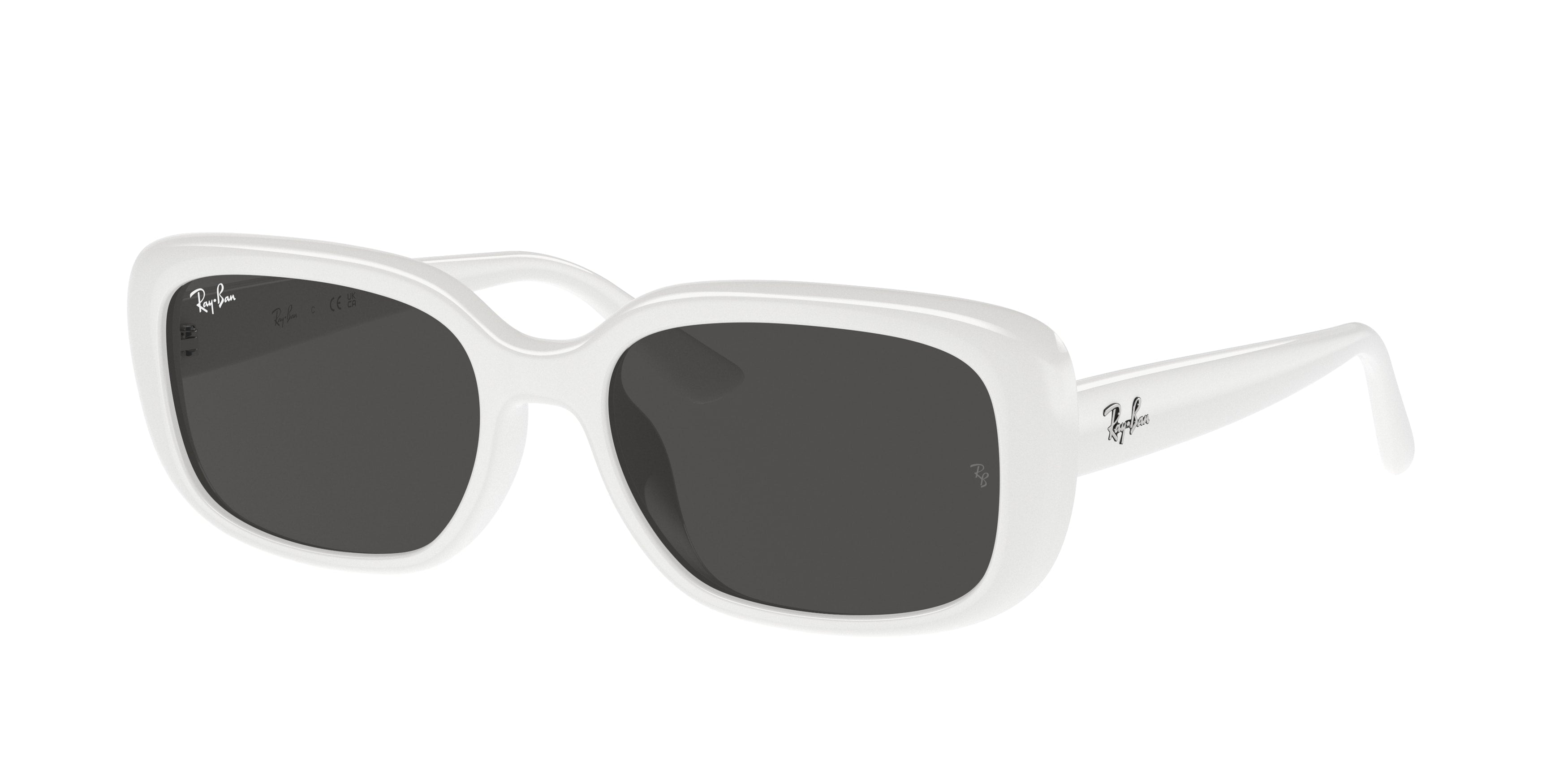 Ray-Ban | 0RB4421D