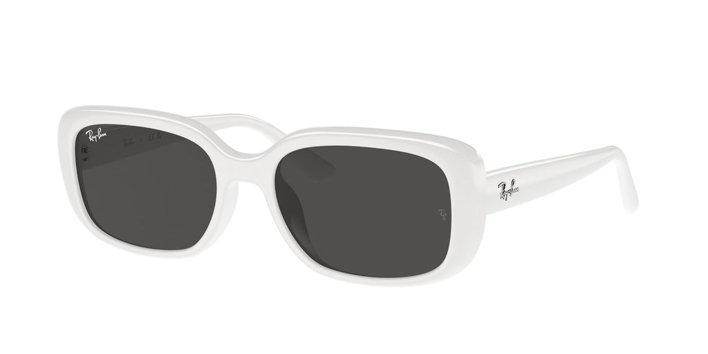 Ray-Ban | 0RB4421D