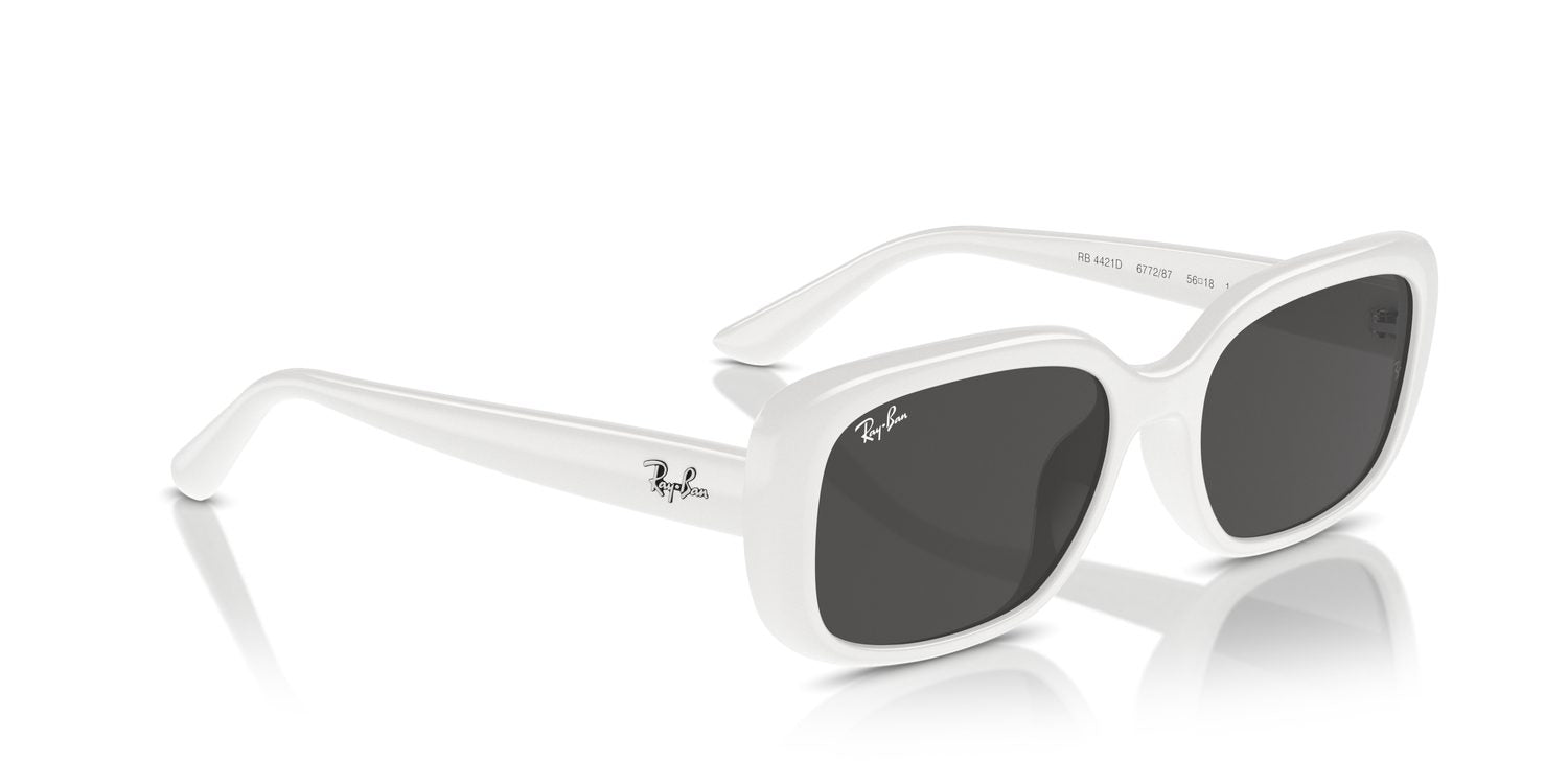Ray-Ban | 0RB4421D