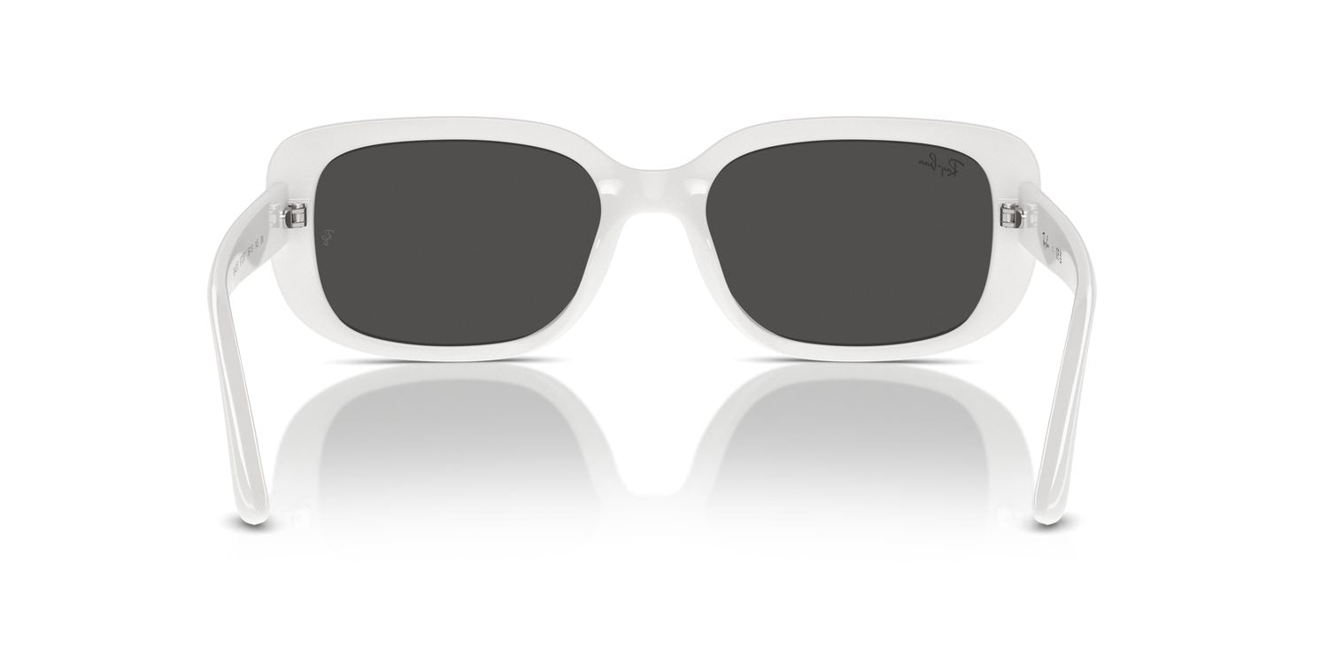 Ray-Ban | 0RB4421D