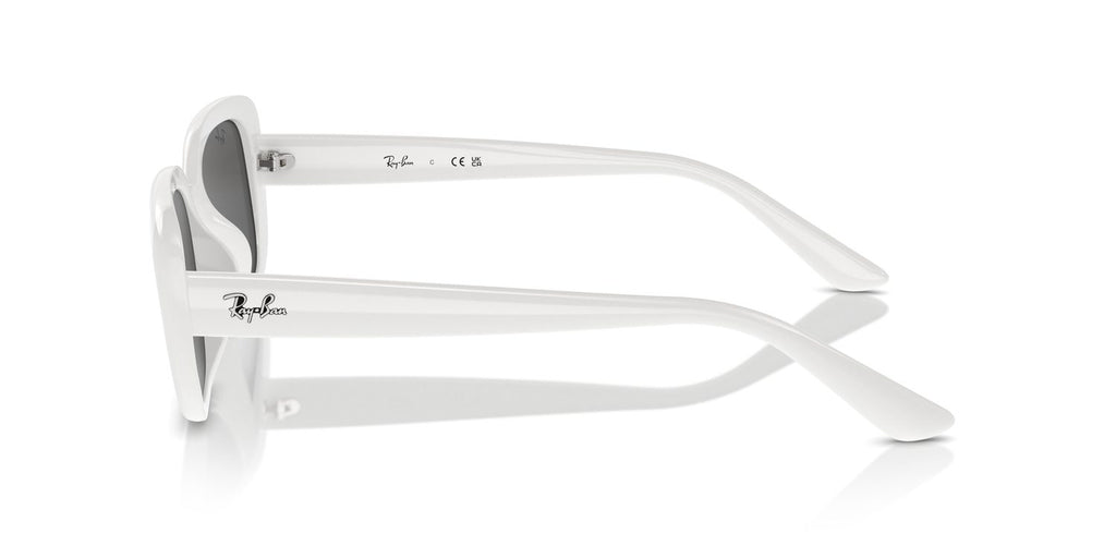 Ray-Ban | 0RB4421D