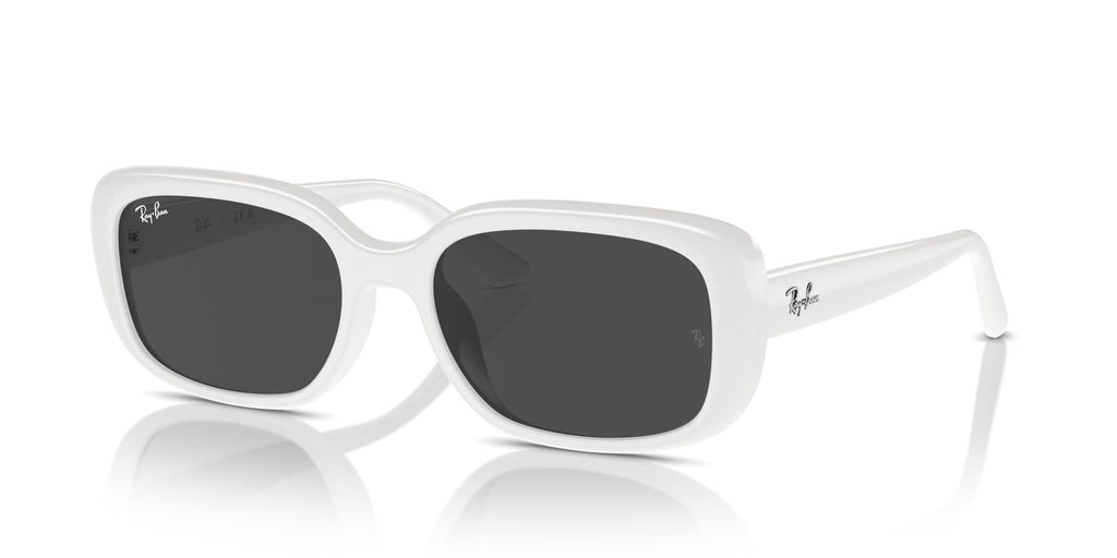 Ray-Ban | 0RB4421D
