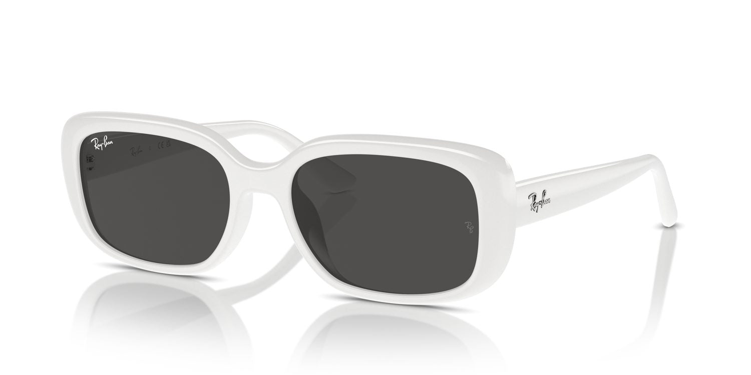 Ray-Ban | 0RB4421D
