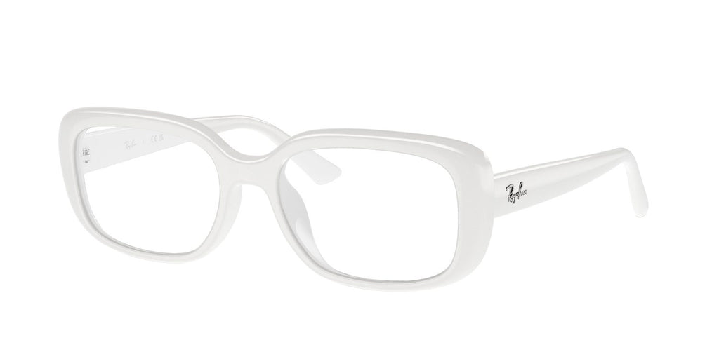 Ray-Ban | 0RB4421D