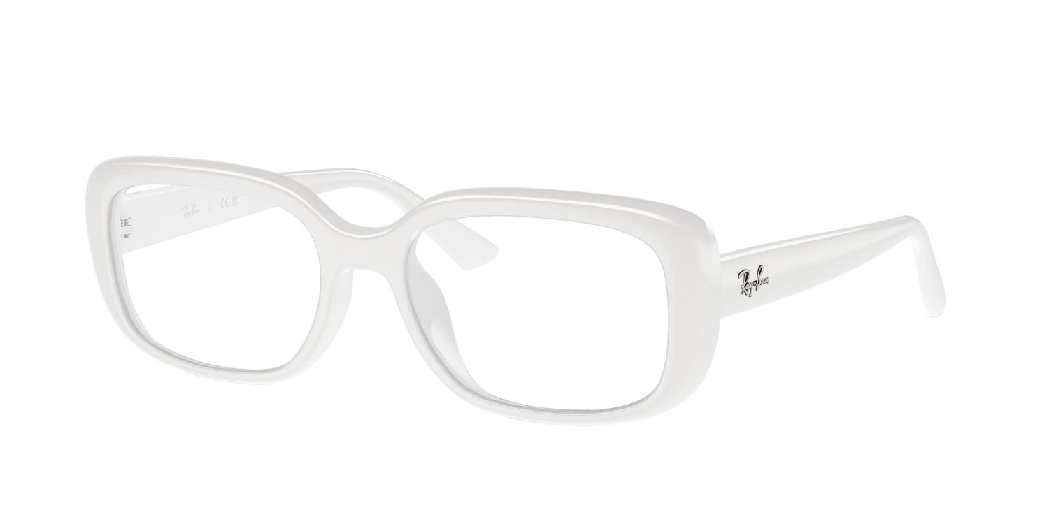 Ray-Ban | 0RB4421D