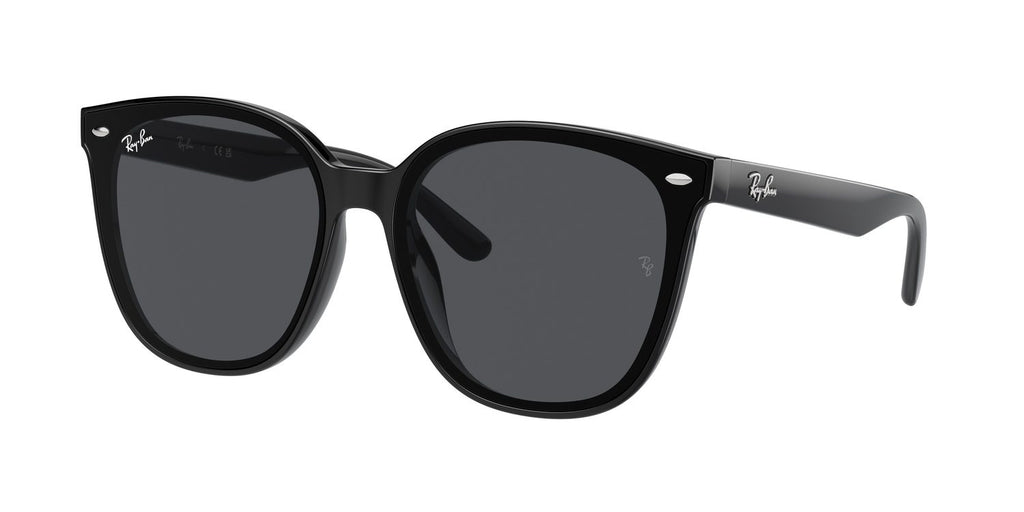 Ray-Ban | 0RB4423D