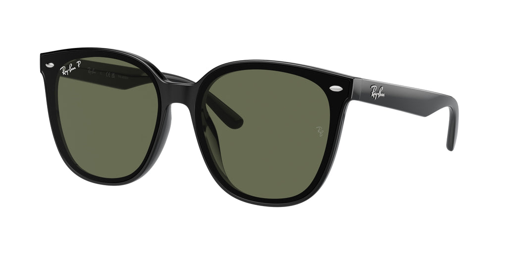 Ray-Ban | 0RB4423D