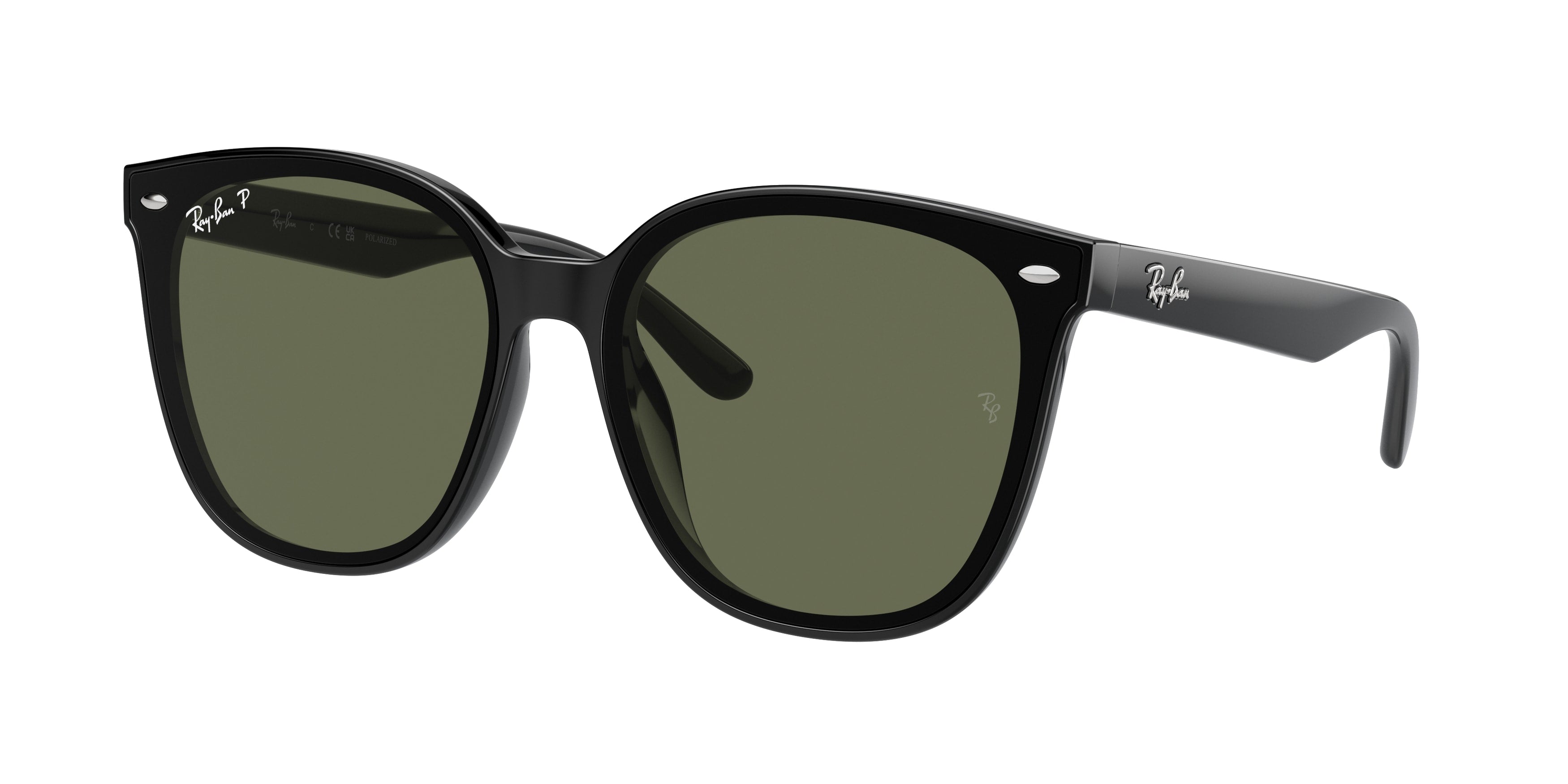 Ray-Ban | 0RB4423D