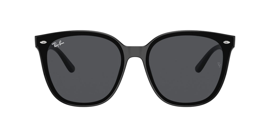 Ray-Ban | 0RB4423D