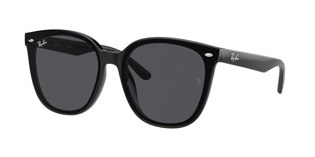 Ray-Ban | 0RB4423D