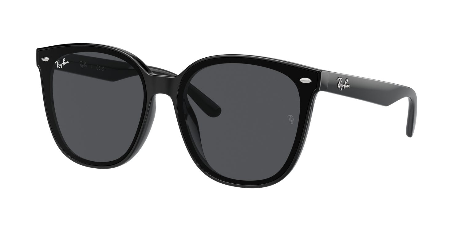 Ray-Ban | 0RB4423D