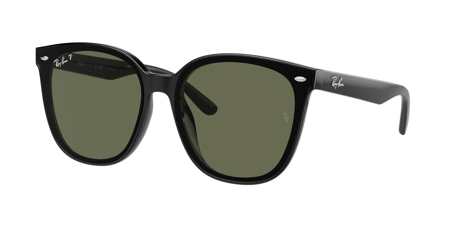 Ray-Ban | 0RB4423D