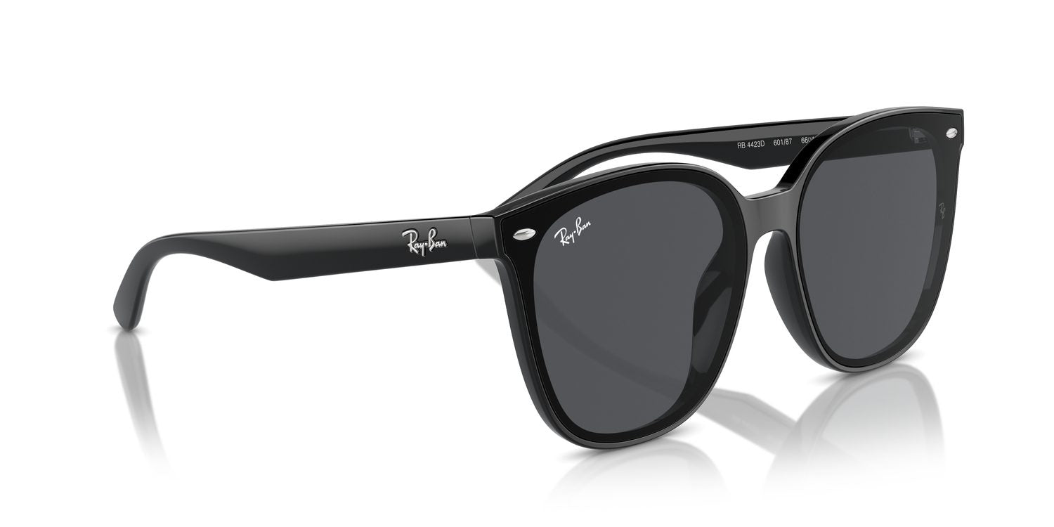 Ray-Ban | 0RB4423D
