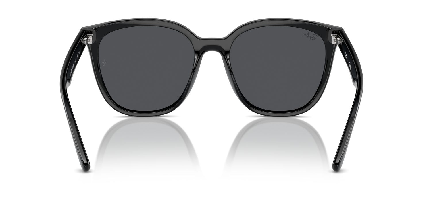 Ray-Ban | 0RB4423D