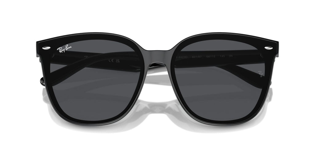 Ray-Ban | 0RB4423D