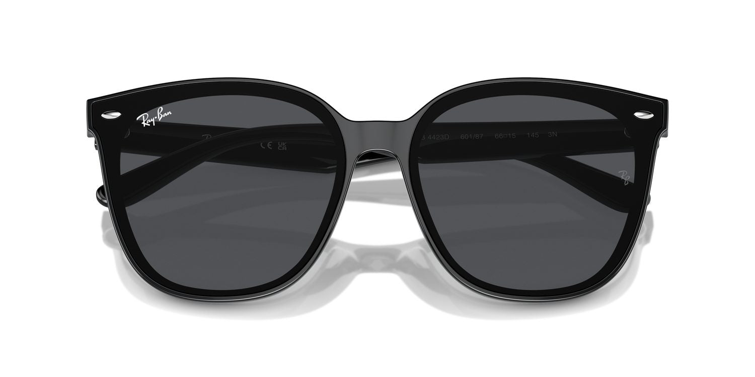 Ray-Ban | 0RB4423D
