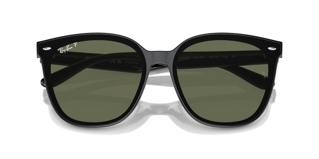 Ray-Ban | 0RB4423D