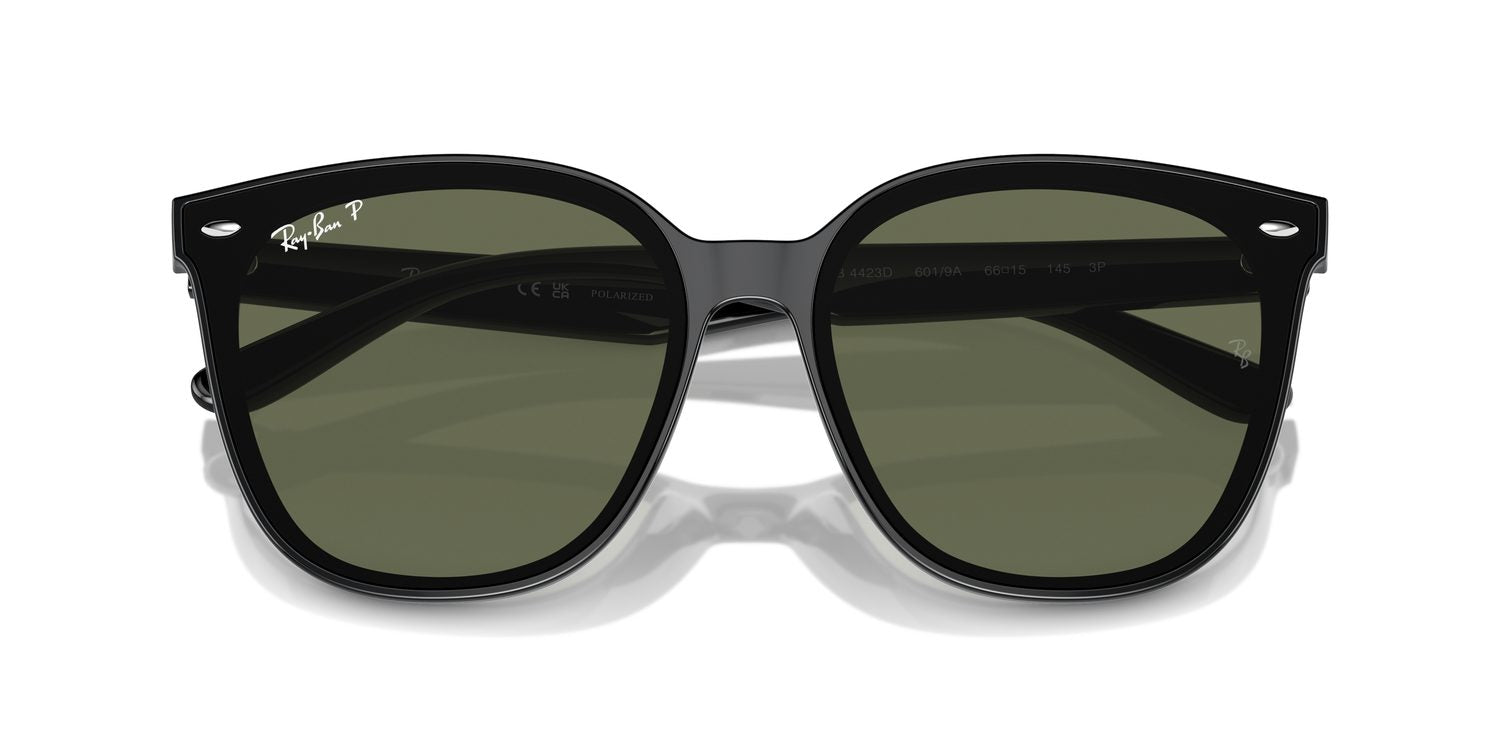 Ray-Ban | 0RB4423D