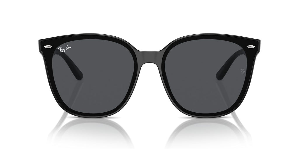 Ray-Ban | 0RB4423D
