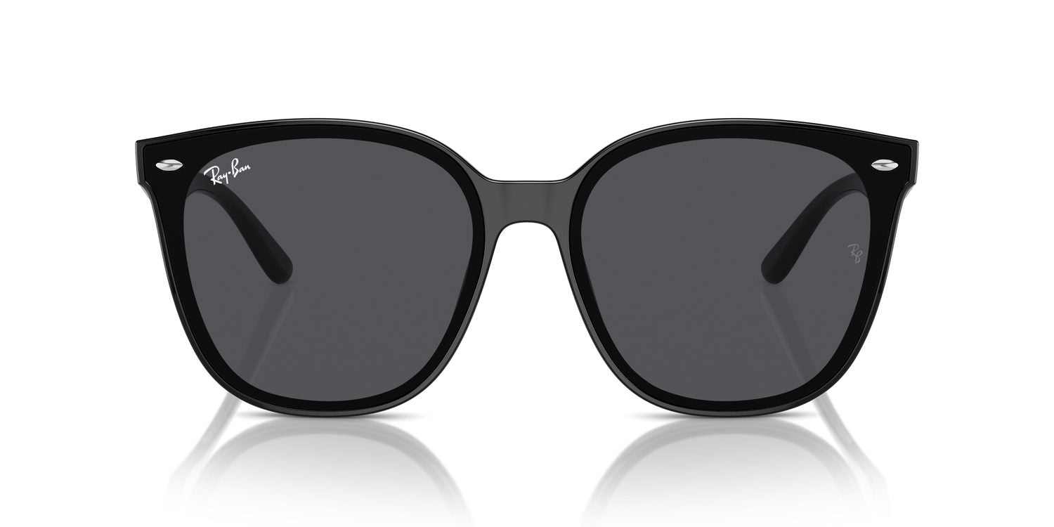 Ray-Ban | 0RB4423D