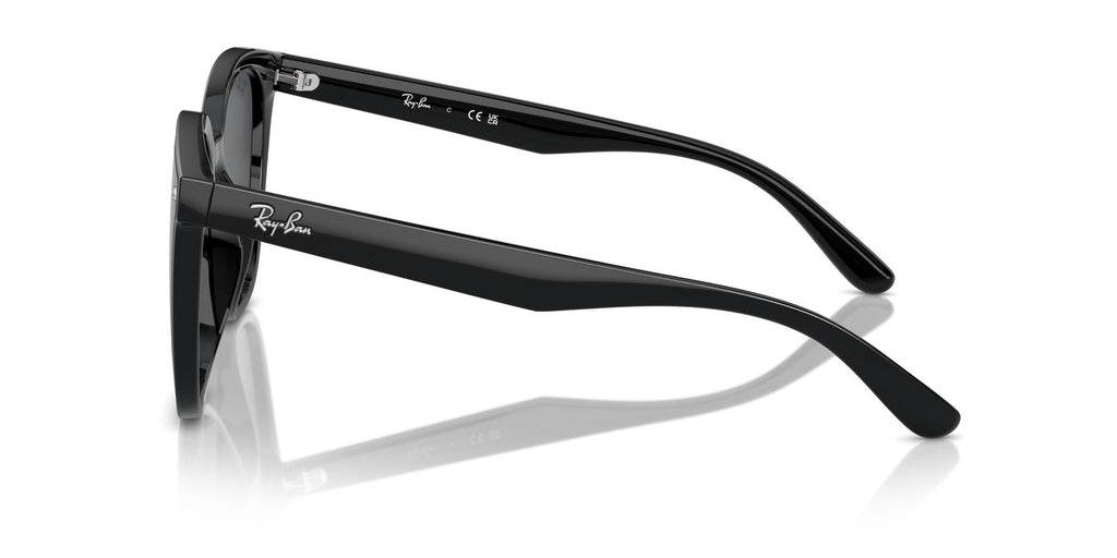 Ray-Ban | 0RB4423D