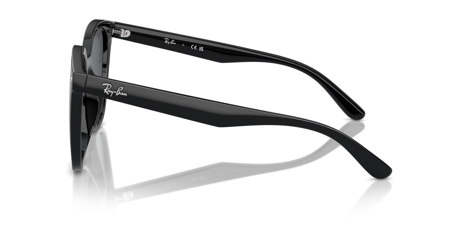 Ray-Ban | 0RB4423D