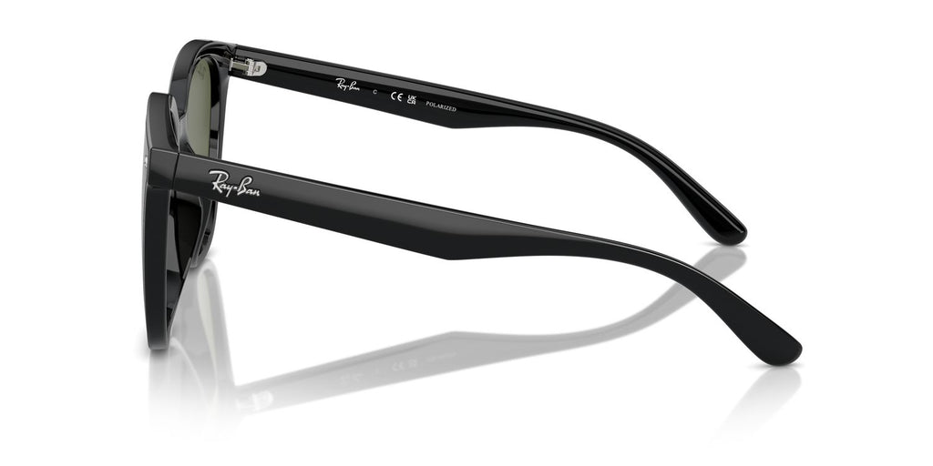 Ray-Ban | 0RB4423D