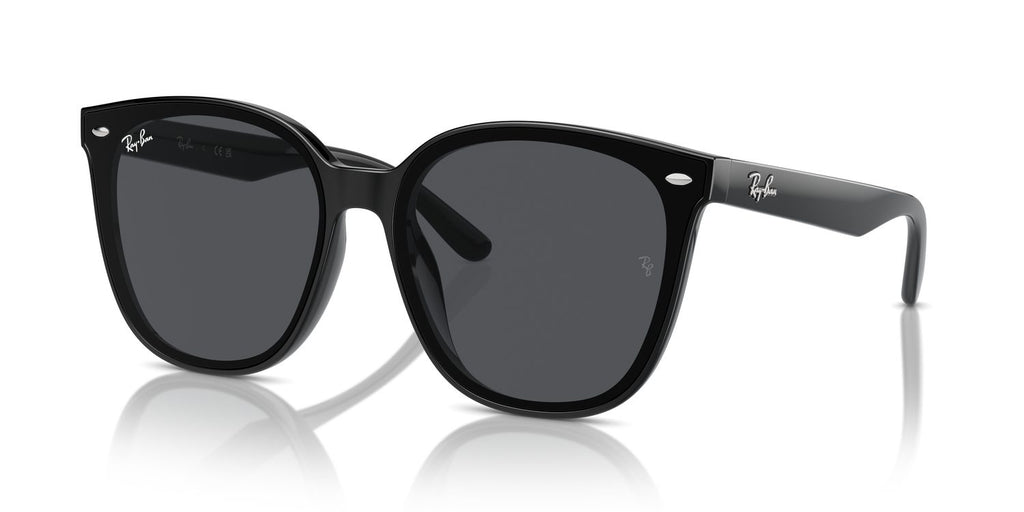 Ray-Ban | 0RB4423D