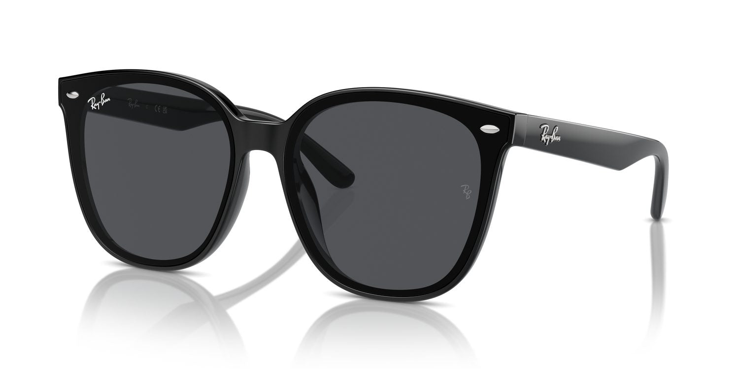 Ray-Ban | 0RB4423D