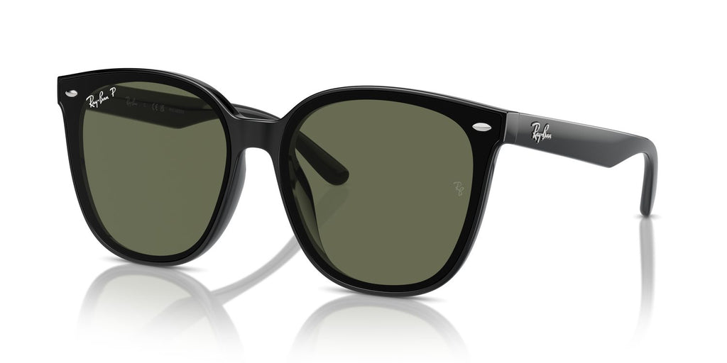 Ray-Ban | 0RB4423D
