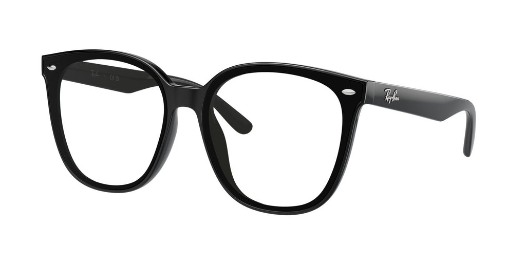 Ray-Ban | 0RB4423D