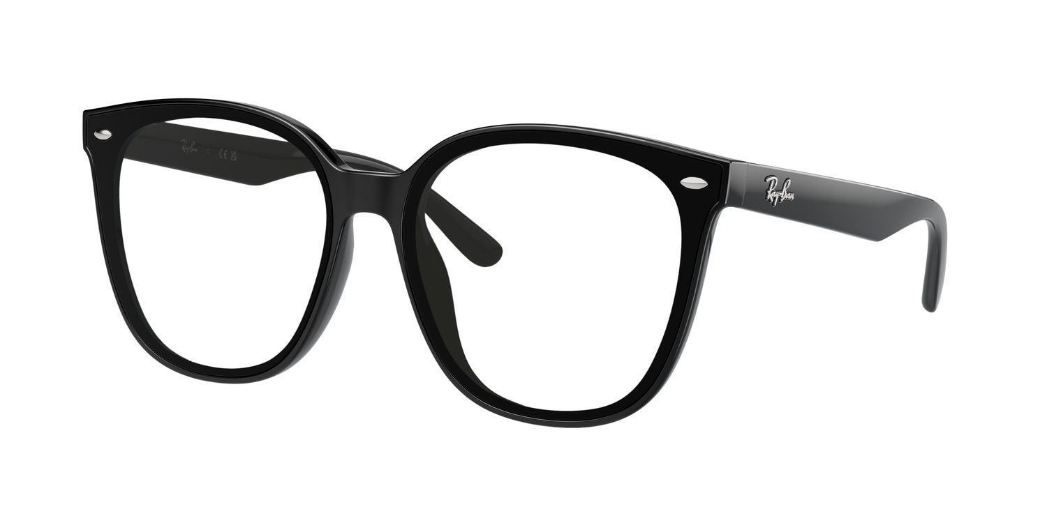 Ray-Ban | 0RB4423D