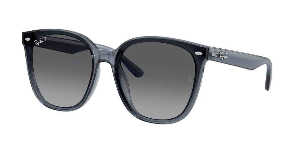 Ray-Ban | 0RB4423D