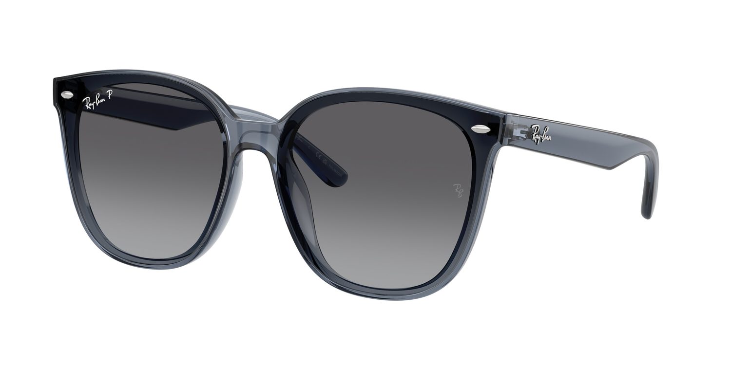 Ray-Ban | 0RB4423D