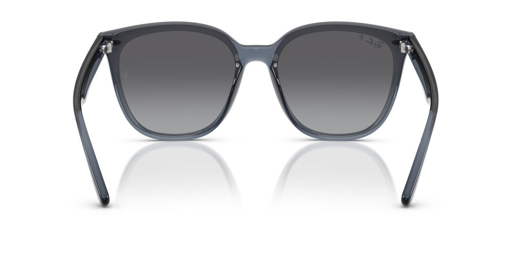 Ray-Ban | 0RB4423D
