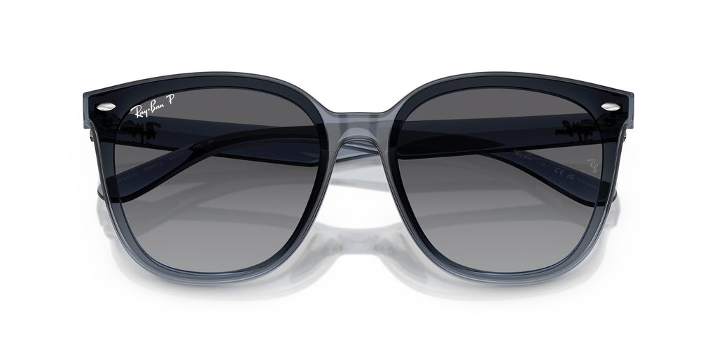 Ray-Ban | 0RB4423D