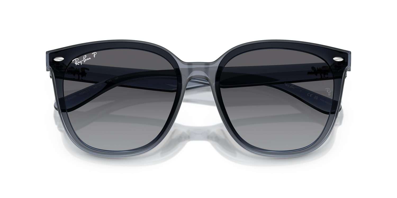 Ray-Ban | 0RB4423D