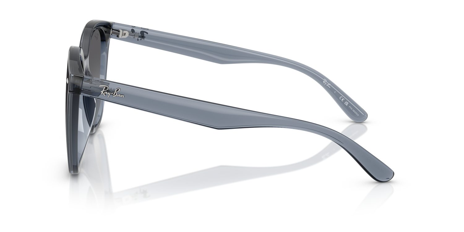 Ray-Ban | 0RB4423D