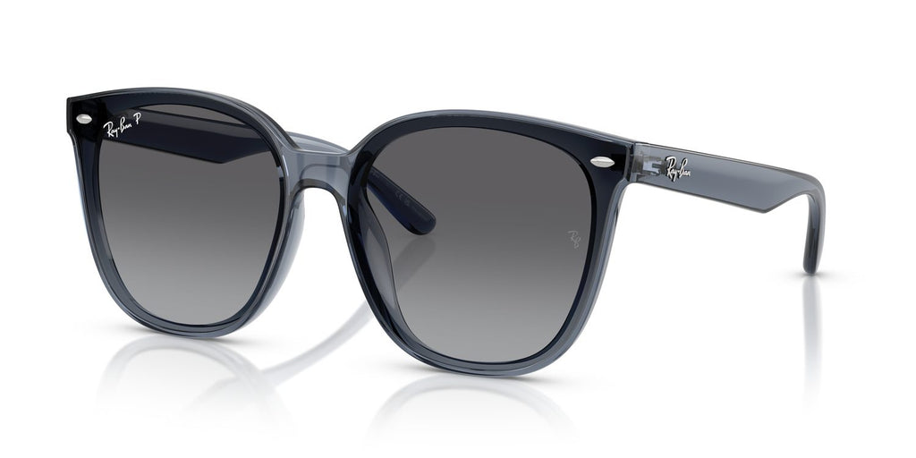 Ray-Ban | 0RB4423D