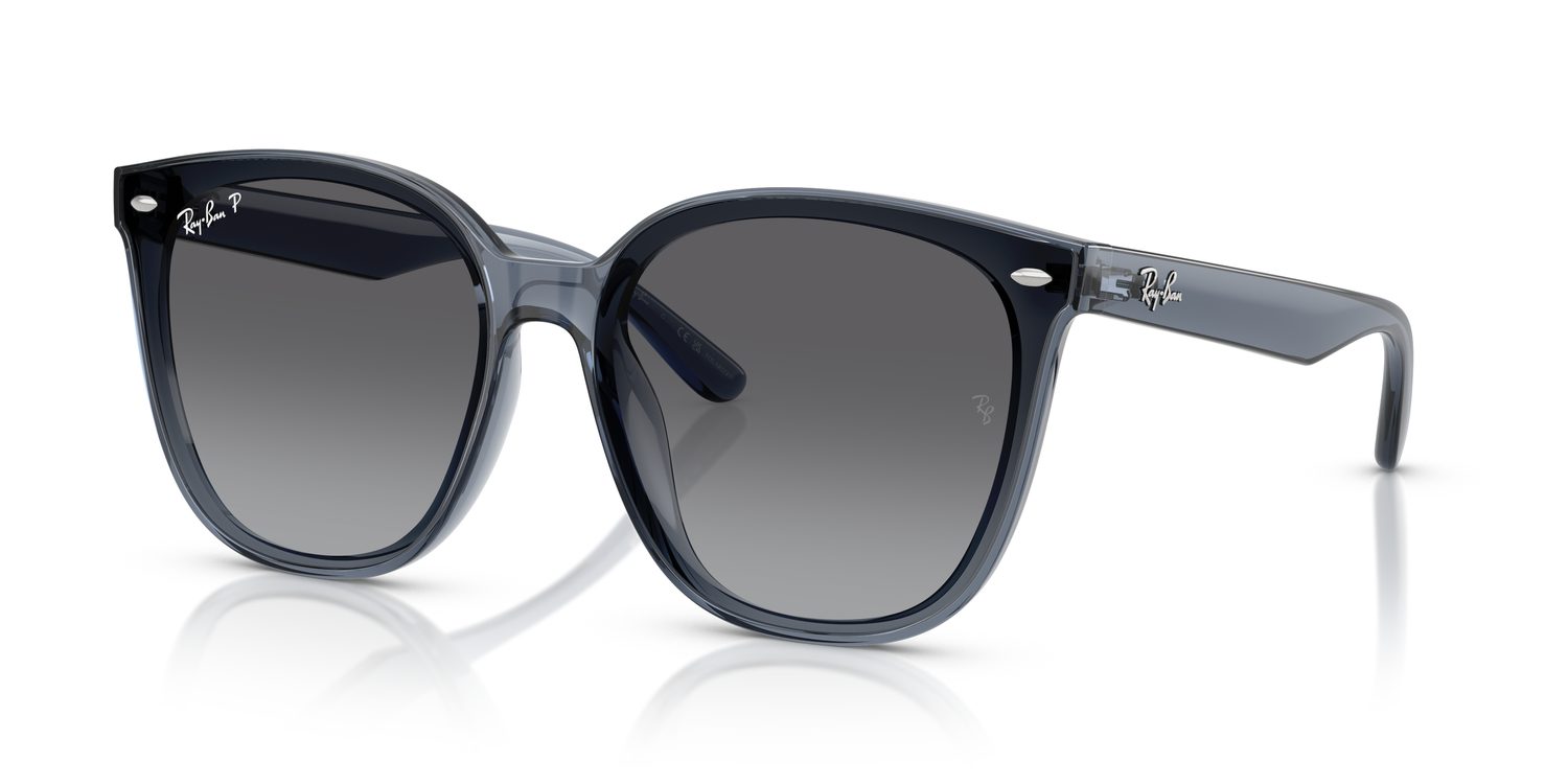 Ray-Ban | 0RB4423D