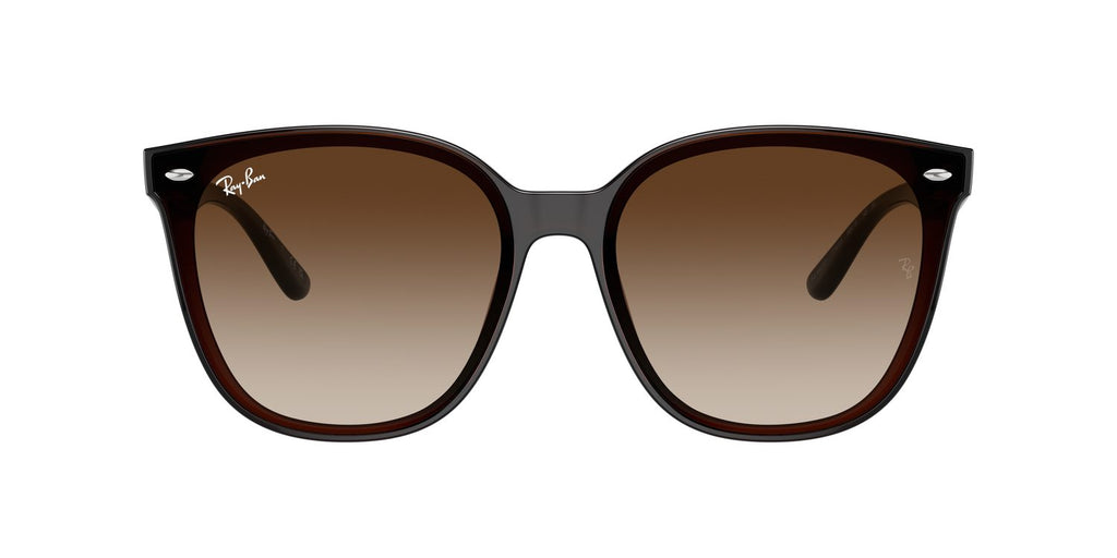 Ray-Ban | 0RB4423D